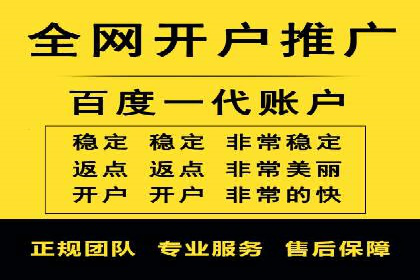 竞价广告赚钱秘籍：百度实战案例